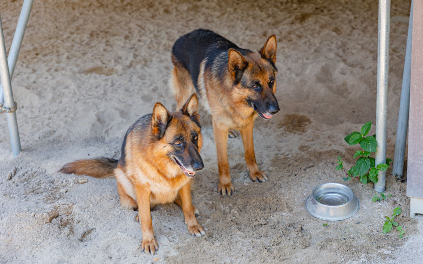採用情報スライド用写真